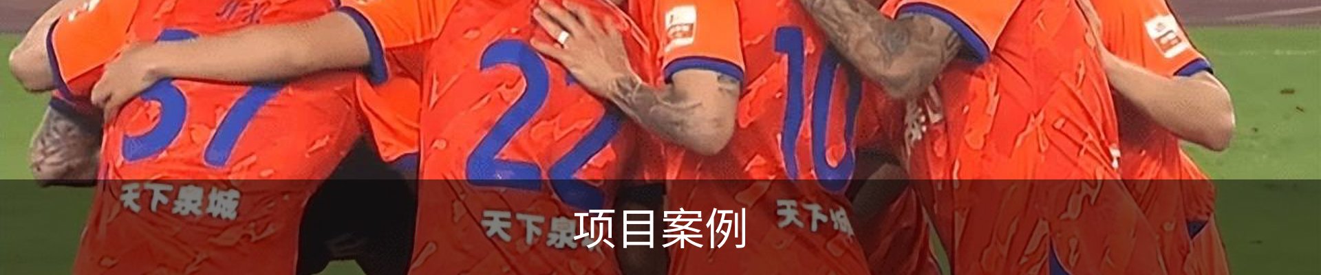 项目案例